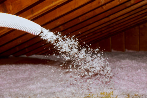 Best Cellulose Insulation in Bridgeport, AL