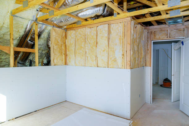 Best Eco-Friendly Insulation in Bridgeport, AL