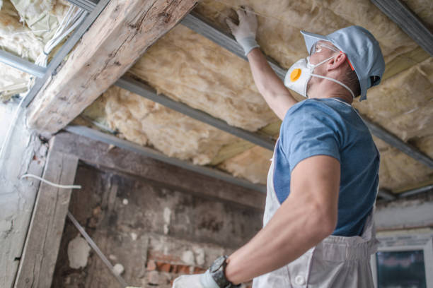 Best Spray Foam Insulation in Bridgeport, AL