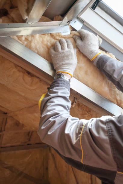 Best Insulation Maintenance and Repair in Bridgeport, AL